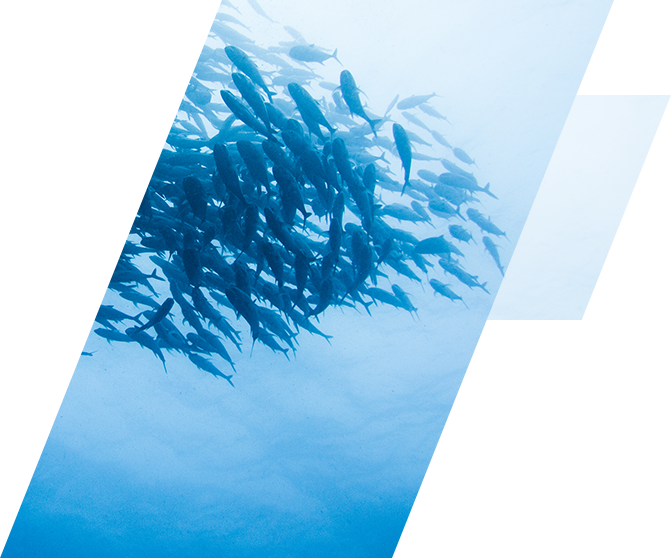 1548914237274930.png po.png